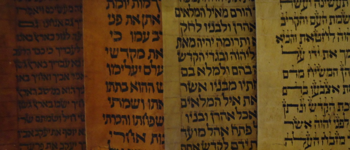 4 Torah scrolls side by side with different ages