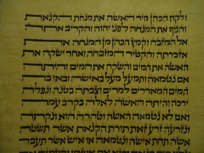 closeup of Torah scroll with cool calligraphy