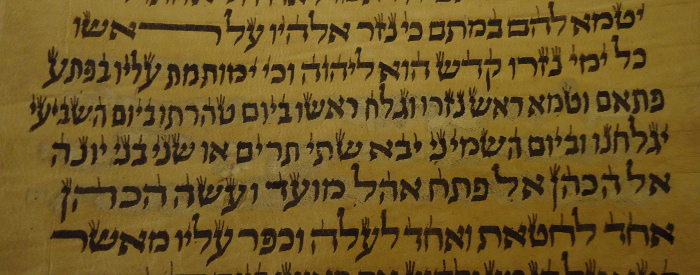 scribe makes a big mistake and scratches off several lines in a Torah scroll