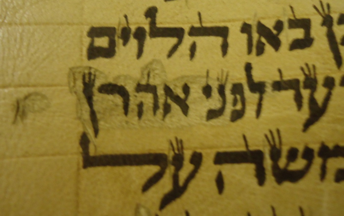 scribe mistake in Hebrew Torah scroll