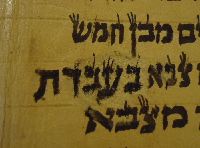 scribe mistake in Hebrew Torah scroll